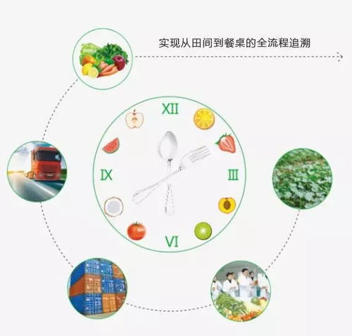 禾中味道 平面設計如何還你從田間到餐桌的真相